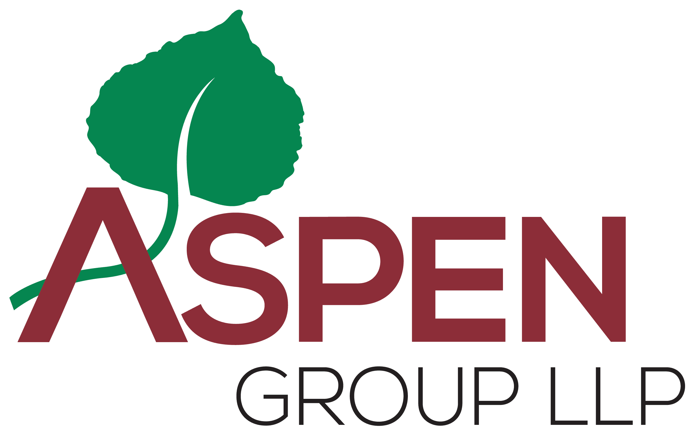 Aspen Logo 2020 S